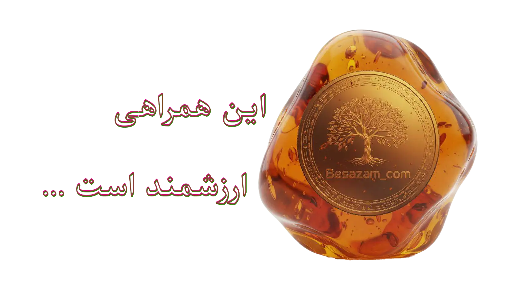 این همراهی ارزشمند است